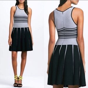 Parker Nia Striped Knit Dress